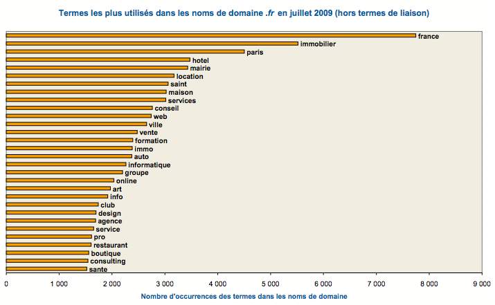 termes-utilises-noms-domaines-2009