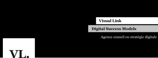 visual-link
