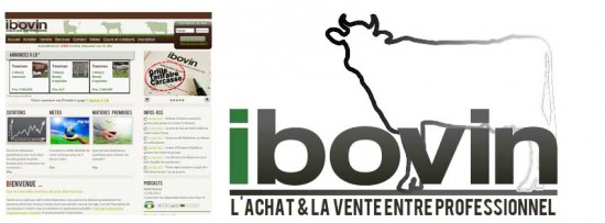 ibovin