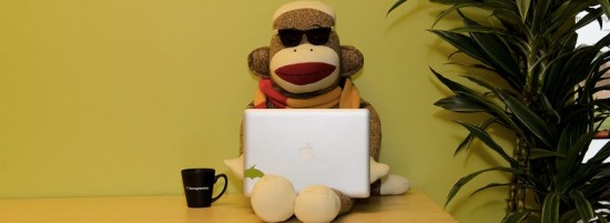 surveymonkeys