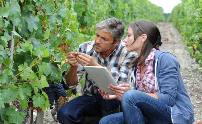 vins-et-internet