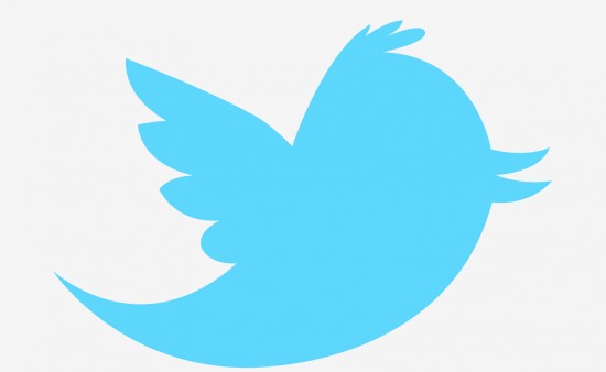 twitter logo vignette