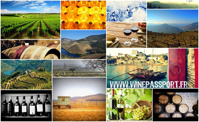 wine-passport
