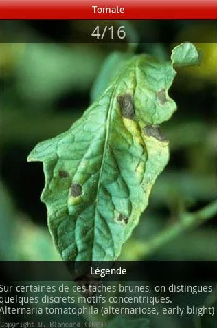 inra