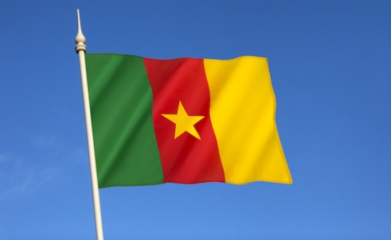 cameroun-drapeau