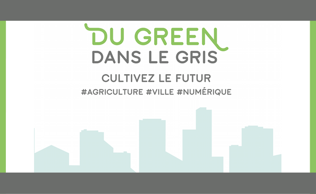 Du Green dans le Gris